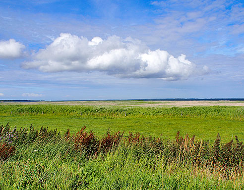 Schöner Radweg