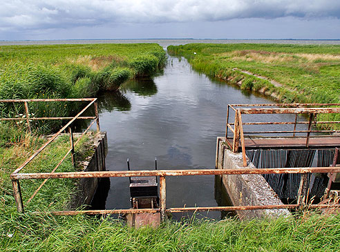 Zufluss in den Bodden