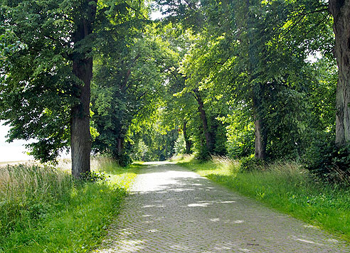 Alleenweg nach Reinberg