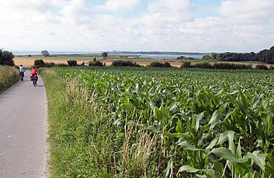 Ostseeküstenradweg: In das Naturschutzgebiet Schwansener See