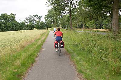 Ostseeküstenradweg: Lindenallee