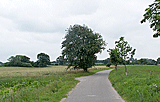 Landschaft bei Neudorf