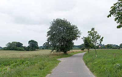 Ostseeküstenradweg: Landschaft bei Neudorf