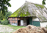 Reetgedeckter Bauernhof