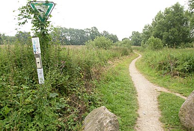 Ostseeküstenradweg: Durch das Naturschutzgebiet bei Stakendorf