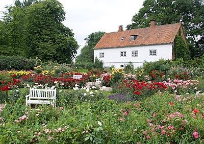 Ostseeküstenradweg: Das duftende Rosarium
