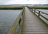 Holzsteg ins Naturschutzgebiet