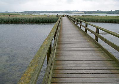 Ostseeküstenradweg: Holzsteg ins Naturschutzgebiet