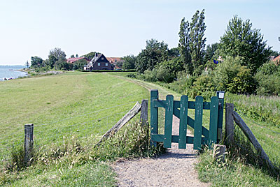 Ostseeküstenradweg: Dammweg nach Lemkenhafen