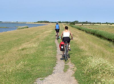 Ostseeküstenradweg: Auf dem Deichweg nach Puttgarden