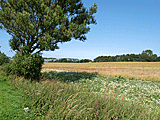 Landschaft vor Heiligenhafen