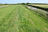 Wiesenweg im Naturschutzgebiet