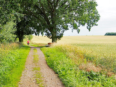 Lange Durchgangsstraße in Boltenhagen