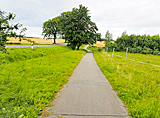 Radweg neben der Straße