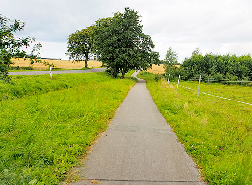 Radweg neben der Straße