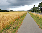 Radweg nach Rerik