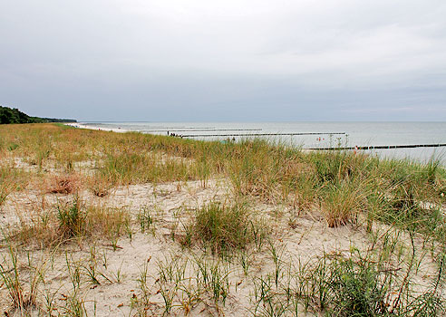 Blick auf die Ostsee