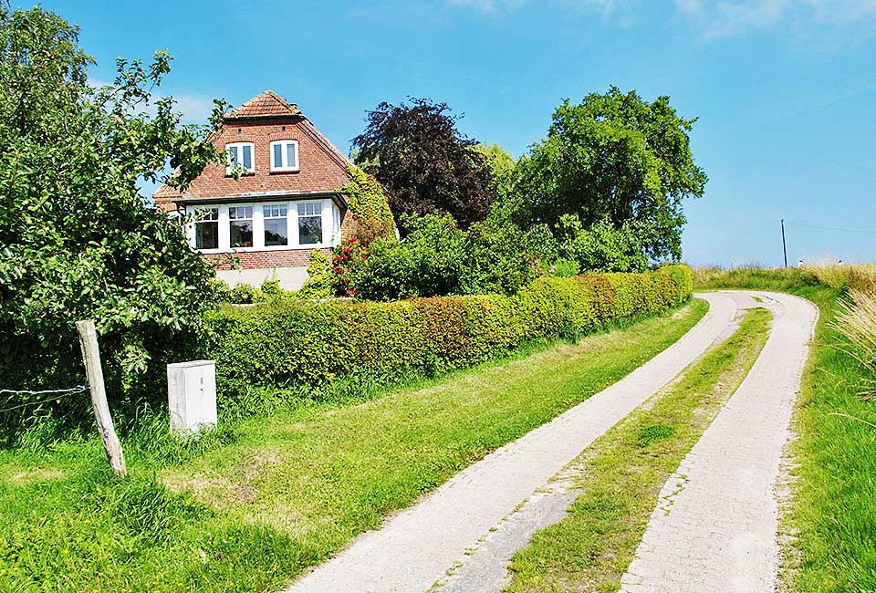 Idylle am Radweg bei Habernis