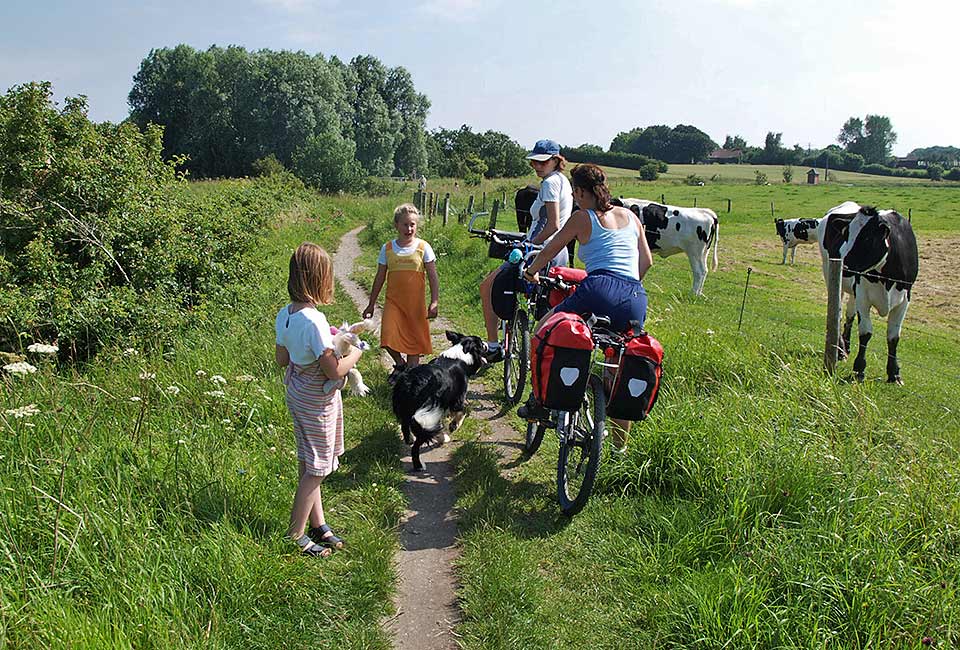 Zwischen Kindern und Kühen