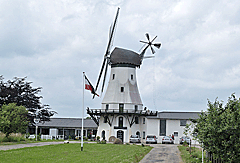 Die Mühle Steinadler