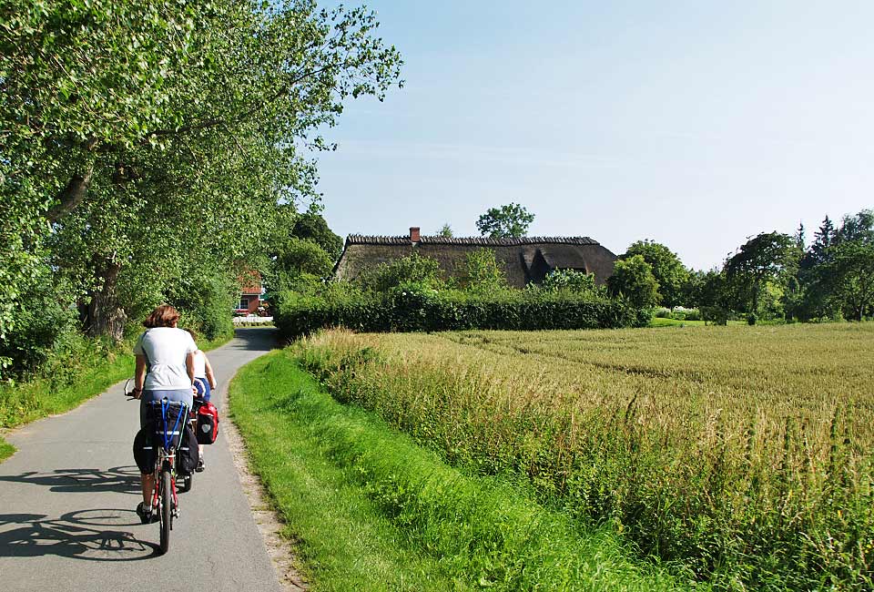 Straße vor Nieby