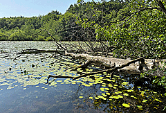 Naturbelassene Seen