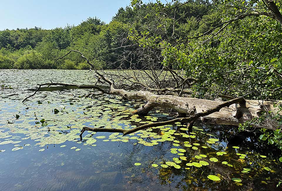 Naturbelassene Seen