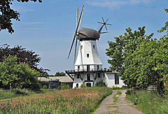 Die Mühle Steinadler