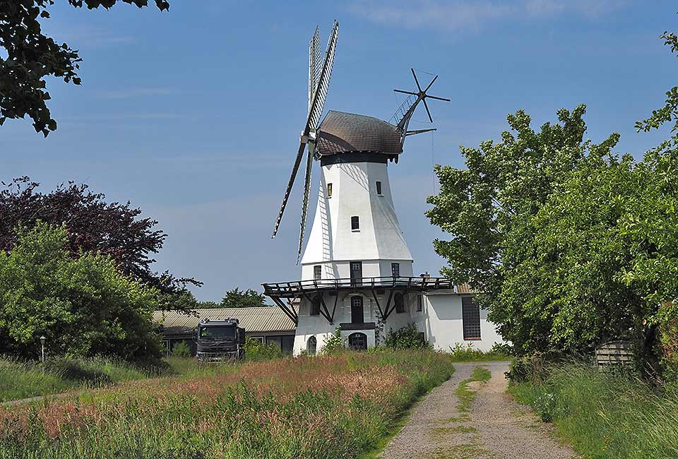 Die Windmühle Steinadler