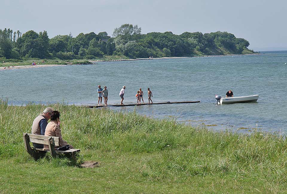 Leben am Strand