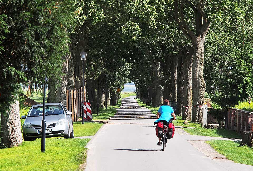 Alleenweg in Klausdorf