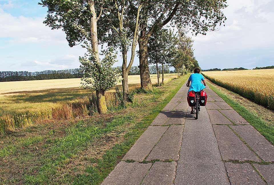 Historischer Plattenweg