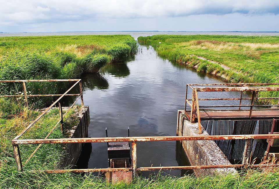 Zufluss in den Bodden