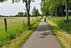 Lindenallee