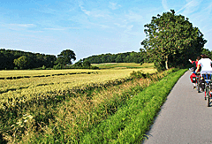 Radweg nach Olpenitz
