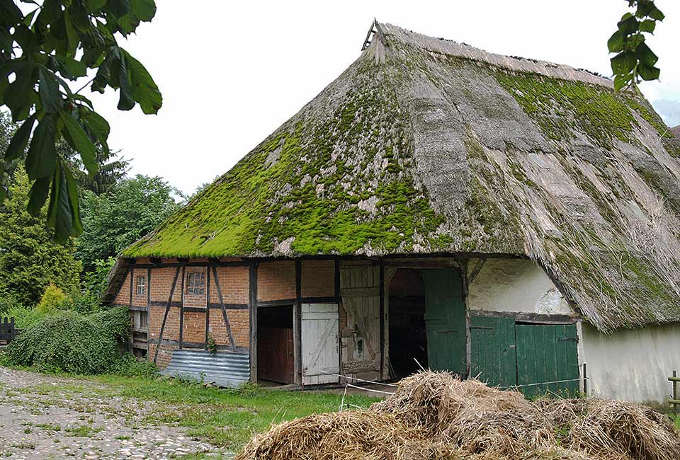 Reetgedeckter Bauernhof