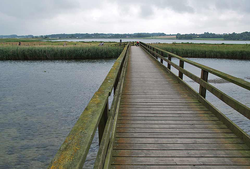 Holzsteg ins Naturschutzgebiet