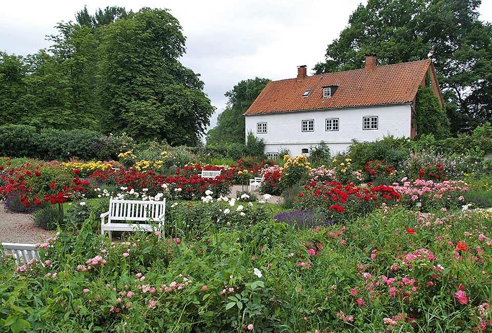 Das duftende Rosarium