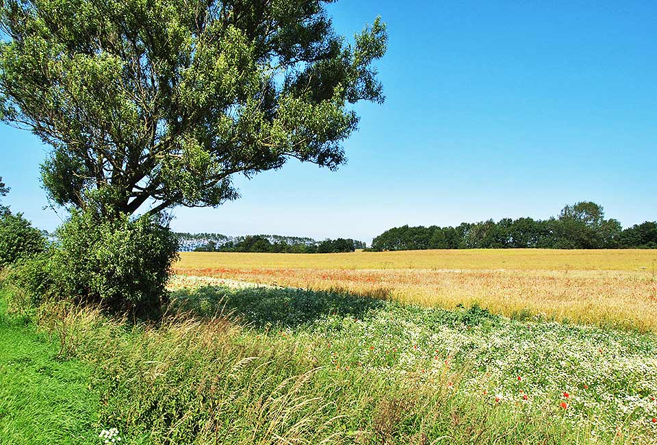 Landschaft vor Heiligenhafen: