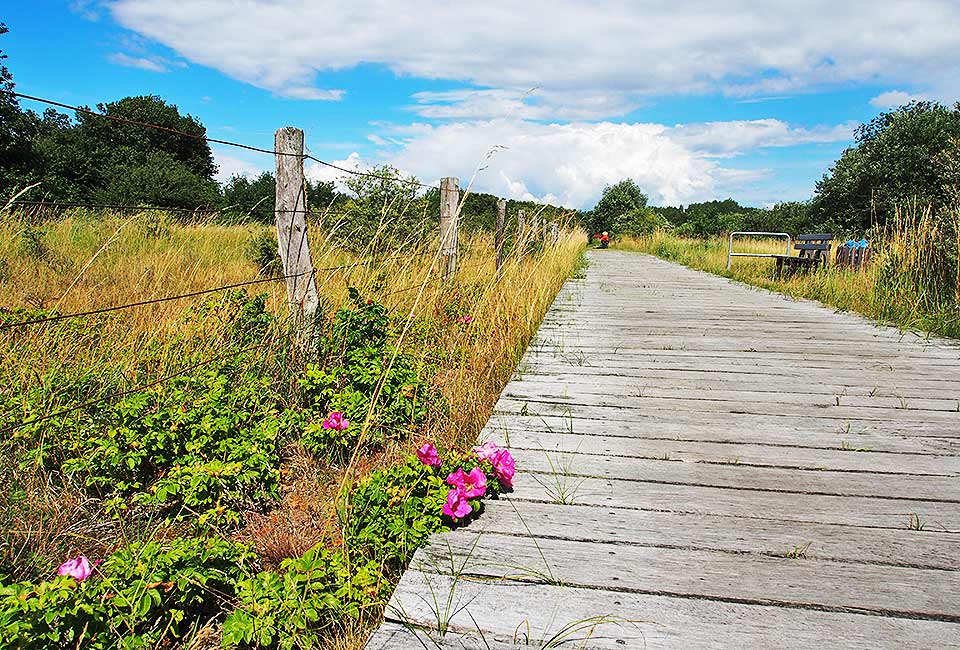 Radweg auf Holzplanken