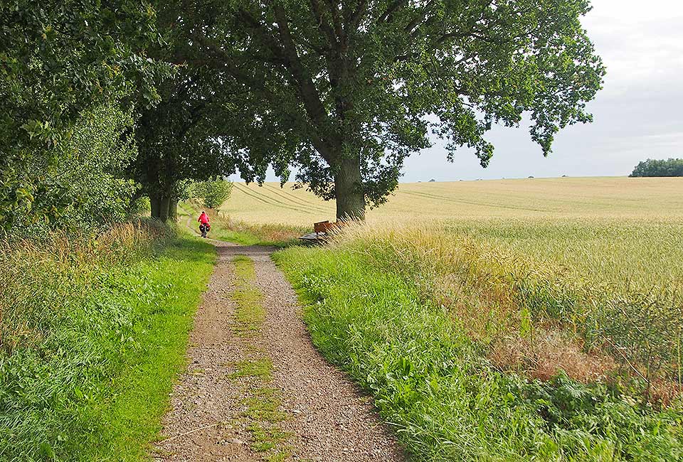 Schöner romantischer Radweg