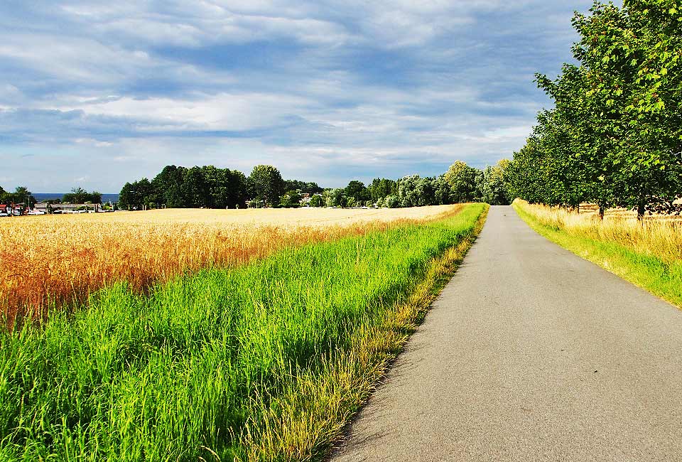 Radweg unweit der Küste