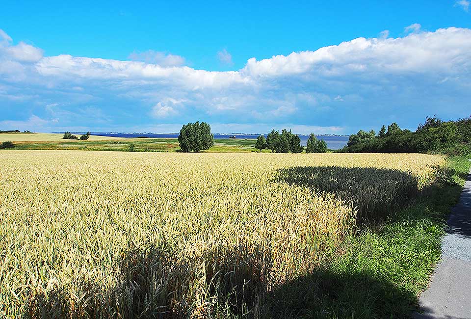 Blick auf die Wismarbucht