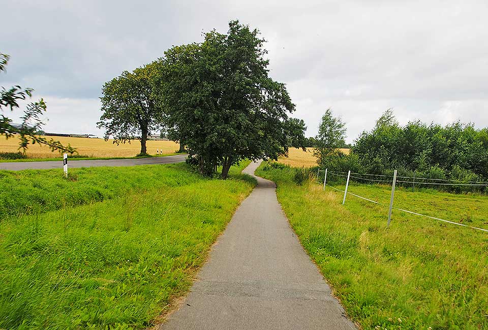 Radweg neben der Straße