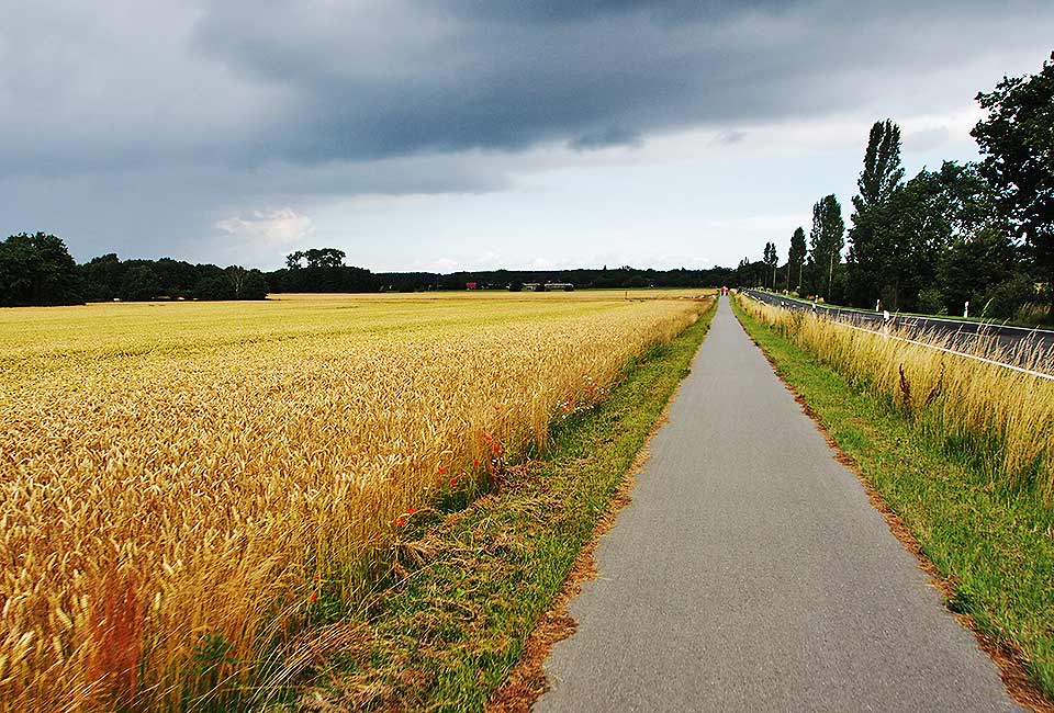 Radweg nach Rerik