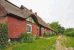 Häuser in Niehagen