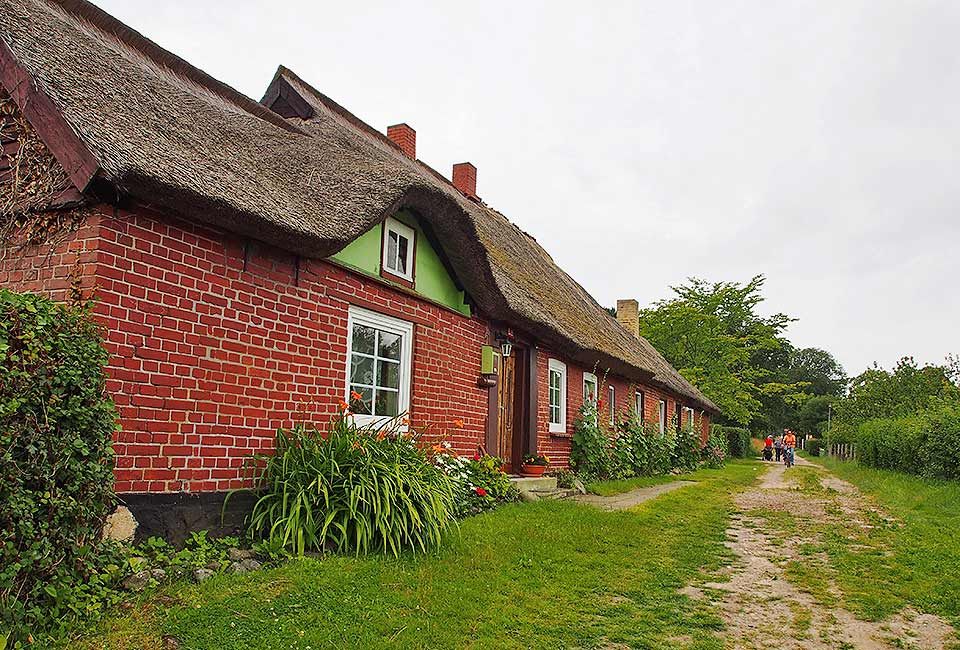 Reetgedeckte Häuser in Niehagen