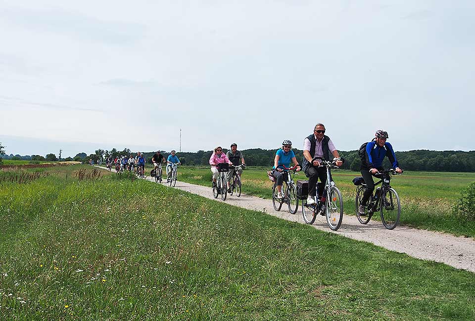 Zahlreiche Radler auf dem Radweg entlang des Boddens