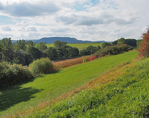 Blick auf die Alb