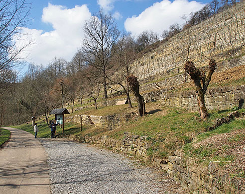 Kleindenkmale im Haufler Weinberg